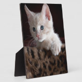 Cute Kat zien Fotoplaat (Zijkant)