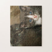CUTE KATTEN JIGSAW PUZZZLE LEGPUZZEL (Verticaal)