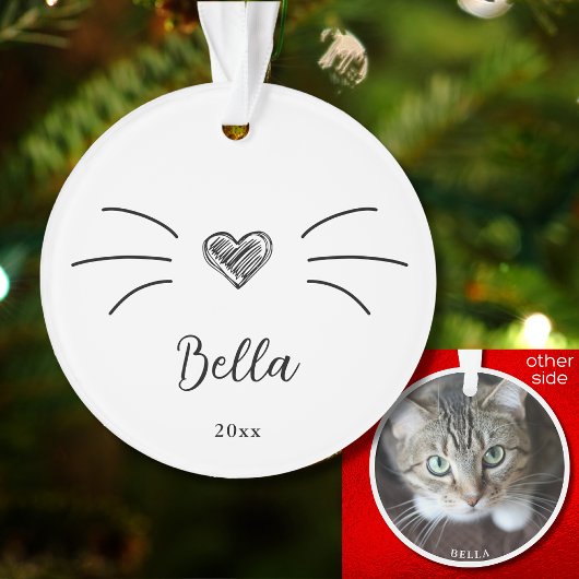 Cute kattenfoto witte ornament snorharen