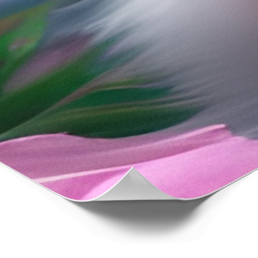 Cute Kawaii baby gestreept roze en blauwe kattenki Poster (Hoek)