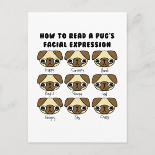 Cute Kawaii Cartoon Pug Funny Briefkaart