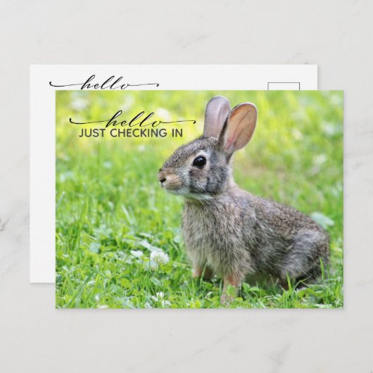 Cute Keeping Connected Briefkaart (Voorkant / Achterkant)