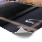 Cute, kerel poster (Hoek)