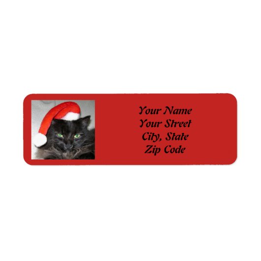 Cute kerstkat Santa Hat Foto Etiket (Voorkant)