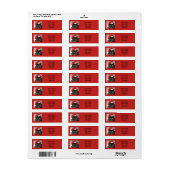 Cute kerstkat Santa Hat Foto Etiket (Full Sheet)