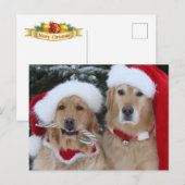 Cute Kerstmis Golden Retrievers briefkaart (Voorkant / Achterkant)