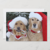 Cute Kerstmis Golden Retrievers flat card Feestdagenkaart (Voorkant)