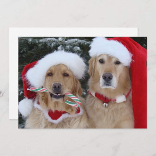 Cute Kerstmis Golden Retrievers flat card Feestdagenkaart (Voorkant / Achterkant)