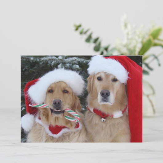 Cute Kerstmis Golden Retrievers flat card Feestdagenkaart (Staand voorkant)