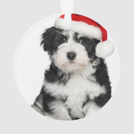 Cute Kerstmis Havanese Puppy Dog 2 Ornament (achterkant)