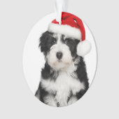 Cute Kerstmis Havanese Puppy Dog 2 Ornament (voorkant)
