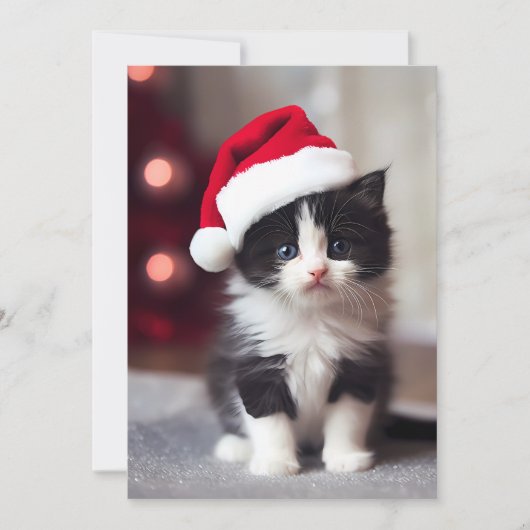 Cute Kerstmis Kitten Feestdagenkaart (Voorkant)