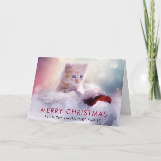Cute Kerstmis Kitten Holiday Kaart (Voorkant)