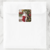 Cute Kerstmis Kitten Vierkante Sticker (Tas)