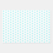 Cute Kerstmis Walrus en Snowflakes Custom Inpakpapier Vel (Voorkant 3)