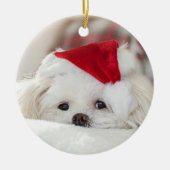 Cute KerstWhite Maltese puppy Dog Keramisch Ornament (Voorkant)