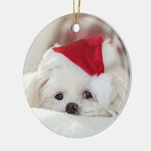 Cute KerstWhite Maltese puppy Dog Keramisch Ornament (Links)
