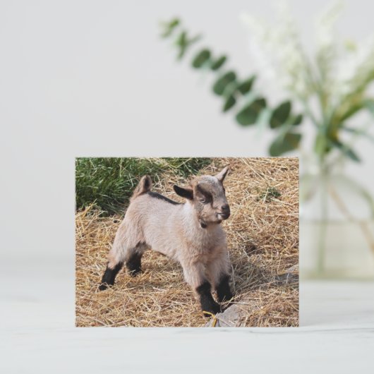 Cute Kind Briefkaart (Staand voorkant)