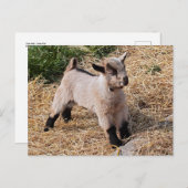 Cute Kind Briefkaart (Voorkant / Achterkant)