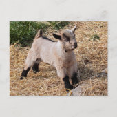 Cute Kind Briefkaart (Voorkant)