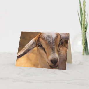 Cute Kind Goat gaat goed Kaart