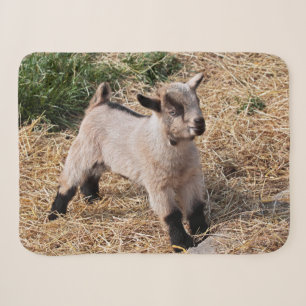 Cute Kind Sherpa Blanket Deken