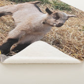 Cute Kind Sherpa Blanket Sherpa Deken (3/4)