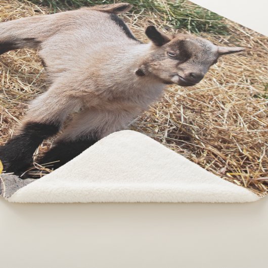 Cute Kind Sherpa Blanket Sherpa Deken (3/4)