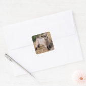 Cute Kind Sticker (Envelop)