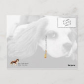 Cute King Charles Spaniel Briefkaart (Achterkant)