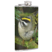 Cute Kinglet Songbird Causes Stir in de Fir Heupfles (Rechts)