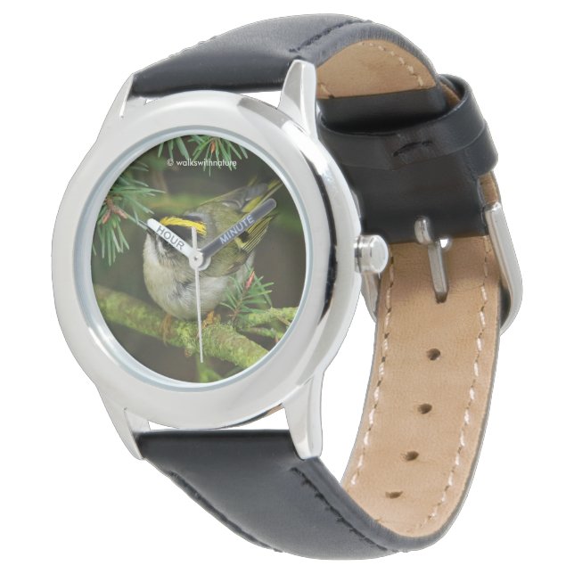 Cute Kinglet Songbird Causes Stir in de Fir Horloge (Gekanteld)