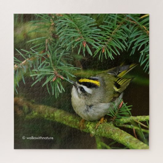 Cute Kinglet Songbird Causes Stir in de Fir Legpuzzel (Verticaal)