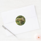 Cute Kinglet Songbird Causes Stir in de Fir Ronde Sticker (Envelop)