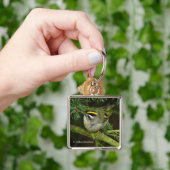 Cute Kinglet Songbird Causes Stir in de Fir Sleutelhanger (Hand)