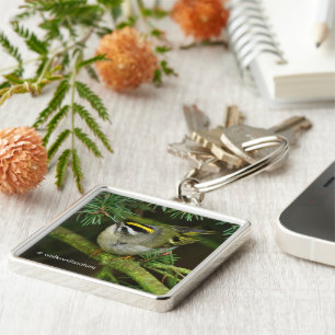 Cute Kinglet Songbird Causes Stir in de Fir Sleutelhanger