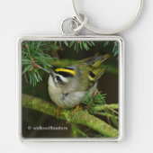 Cute Kinglet Songbird Causes Stir in de Fir Sleutelhanger (Voorkant)