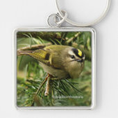 Cute Kinglet Songbird Causes Stir in de Fir Sleutelhanger (Voorkant)