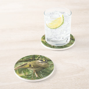 Cute Kinglet Songbird veroorzaakt een Stir in de F Zandsteen Onderzetter