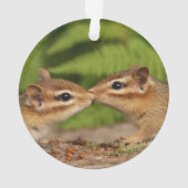 Cute Kissing Baby Chipmunks Ornament (achterkant)