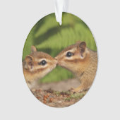 Cute Kissing Baby Chipmunks Ornament (voorkant)