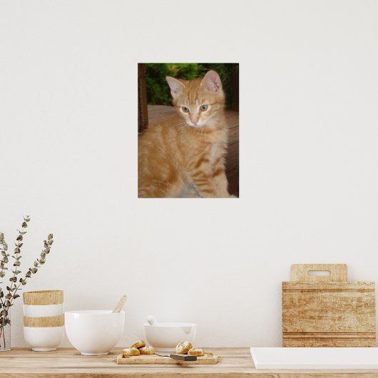 Cute Kit! Poster (Keuken)