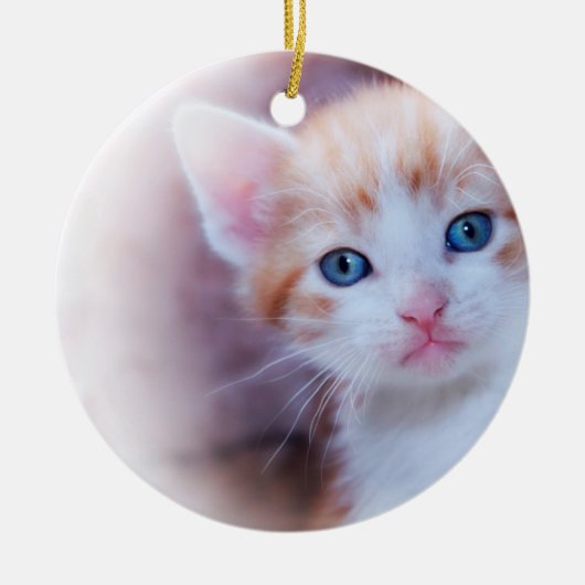 Cute Kitten 1 Foto Keramisch Ornament (Voorkant)