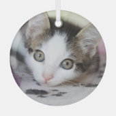 Cute Kitten 1 FotoCirkel Glas Ornament (Voorkant)