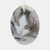 Cute Kitten 1 FotoCirkel Glas Ornament (Voorkant links)
