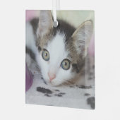 Cute Kitten 1 Photo Square Glas Ornament (Voorkant links)