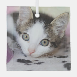 Cute Kitten 1 Photo Square Glas Ornament