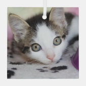 Cute Kitten 1 Photo Square Glas Ornament (Achterkant)