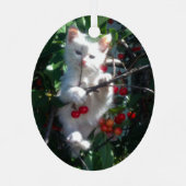 Cute Kitten 2 Foto Verticaal ovaal Metalen Ornament (Achterkant)