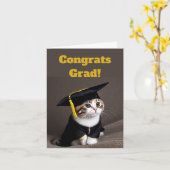 Cute Kitten Afstuderen Kaart (Gele Bloem)